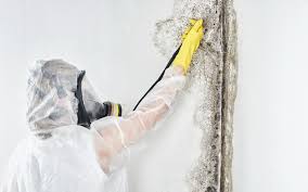 Best Mold Prevention Services  in Boiling Springs, NC